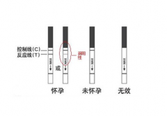 验孕棒在什么时候用准确？